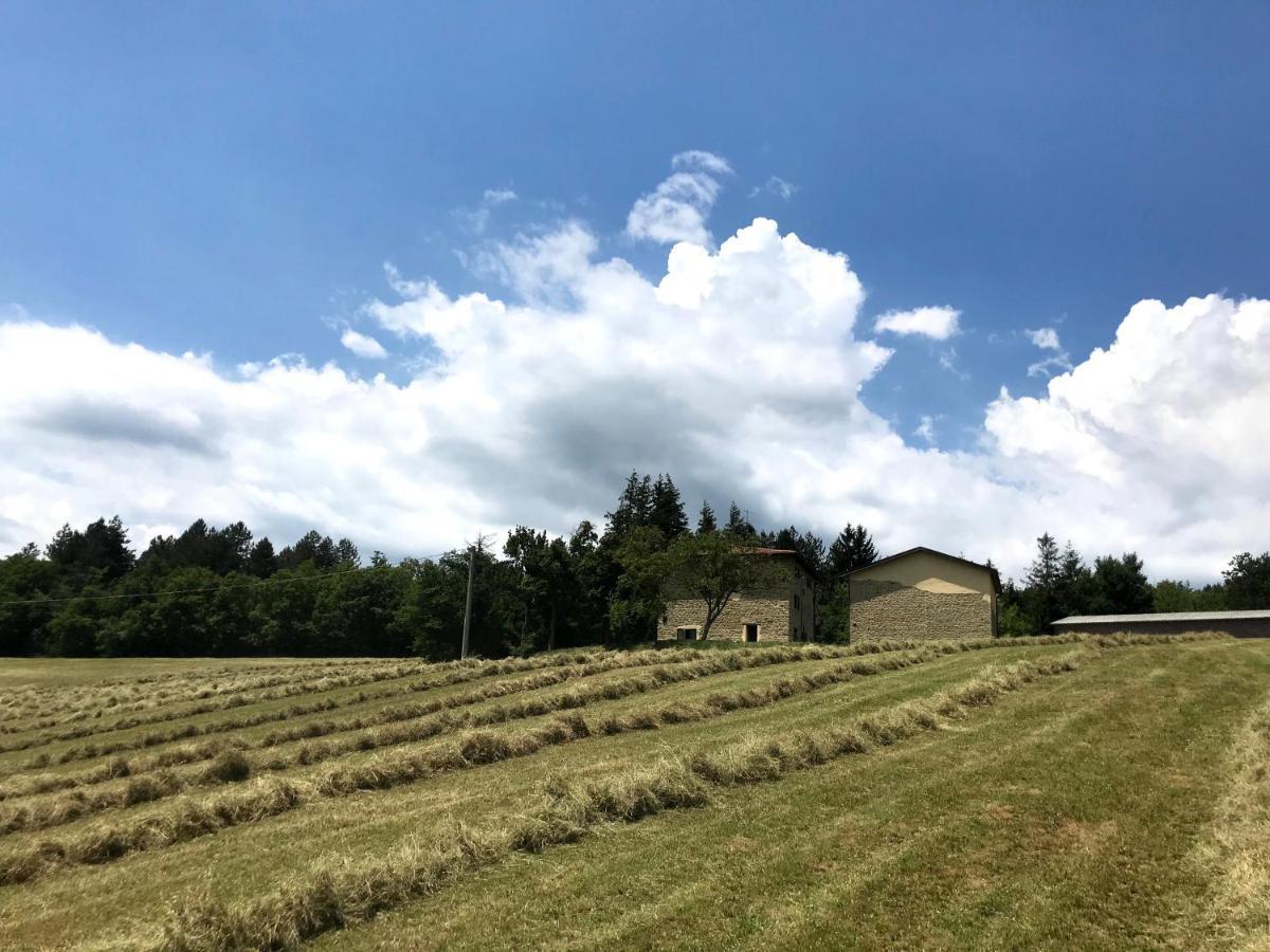 Agriturismo Il Casone San Benedetto Val di Sambro Екстериор снимка
