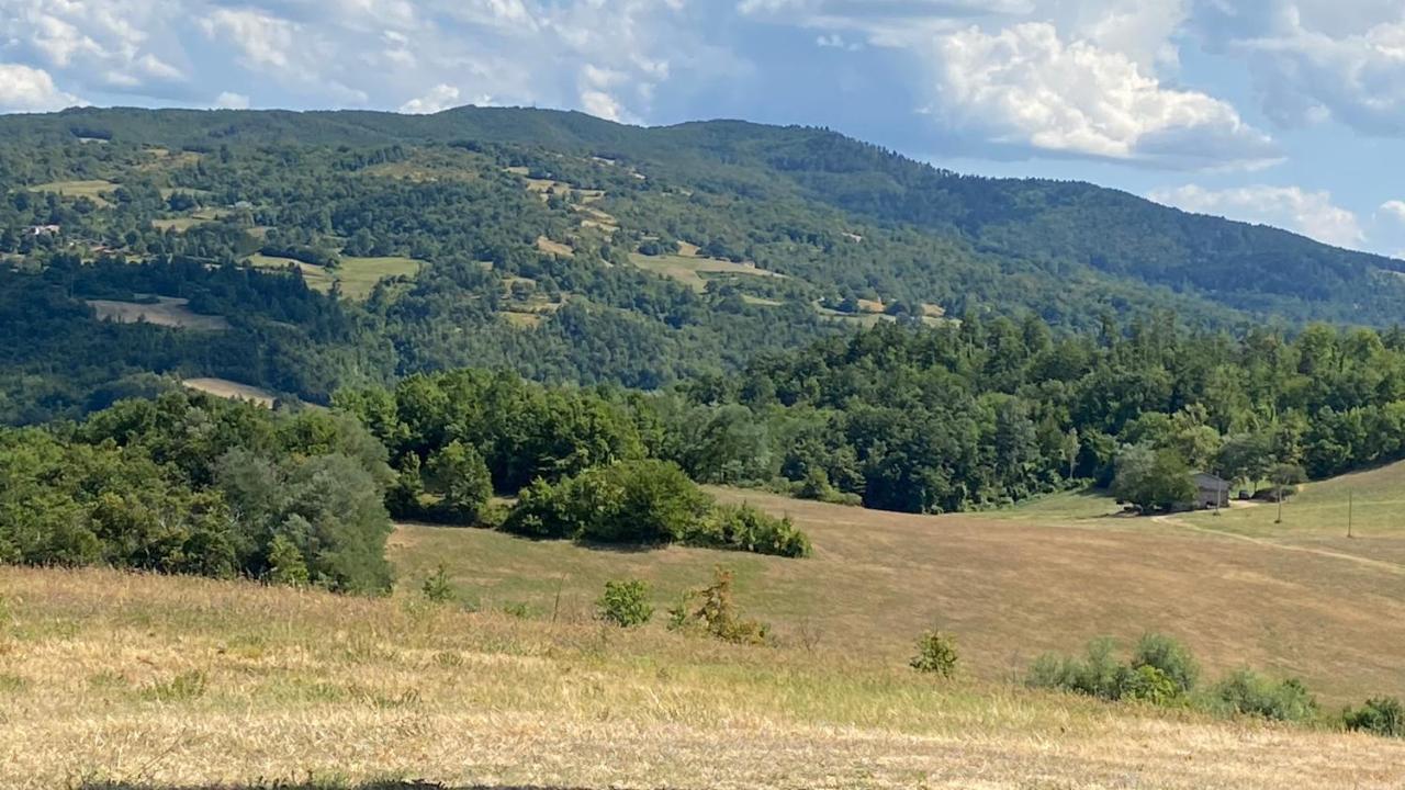 Agriturismo Il Casone San Benedetto Val di Sambro Екстериор снимка