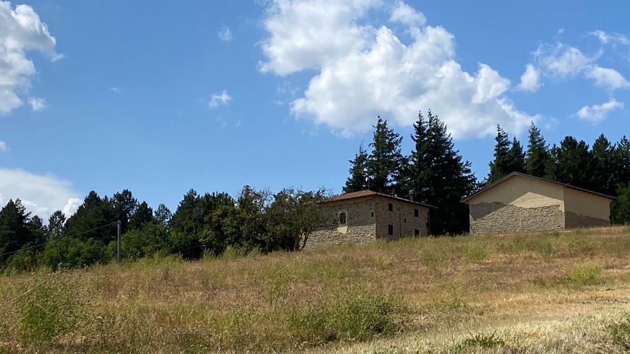 Agriturismo Il Casone San Benedetto Val di Sambro Екстериор снимка