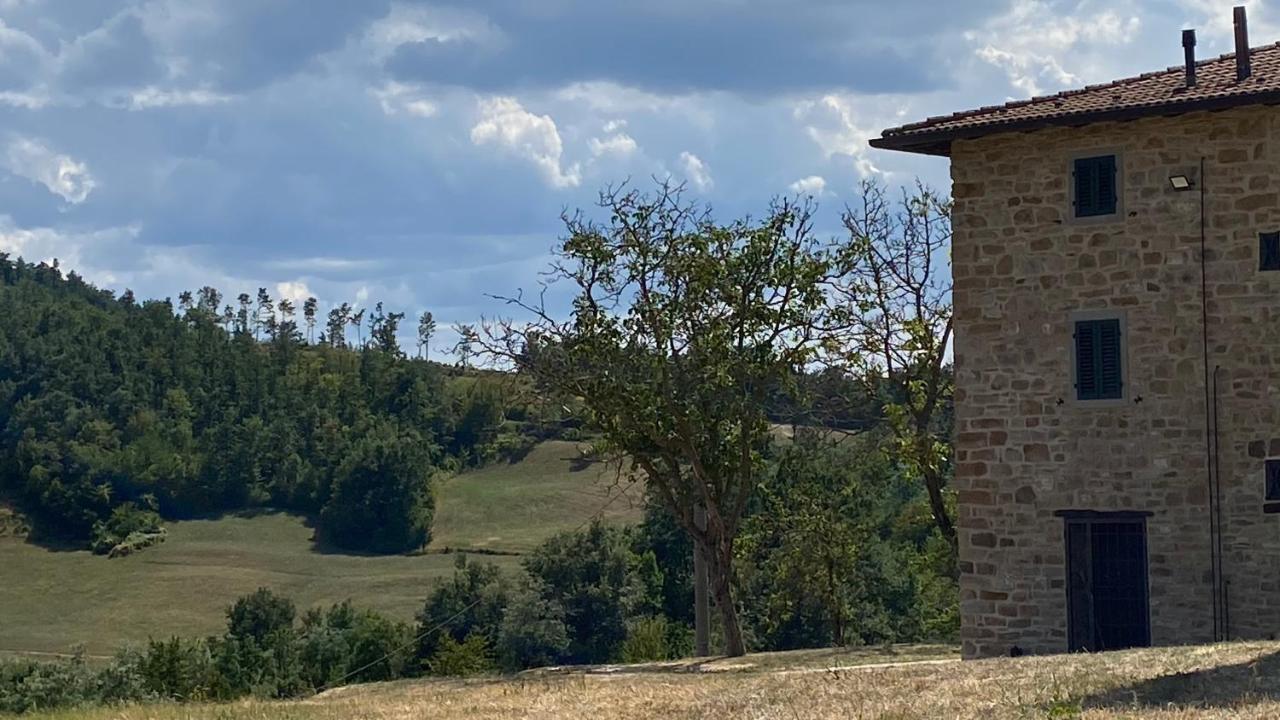 Agriturismo Il Casone San Benedetto Val di Sambro Екстериор снимка
